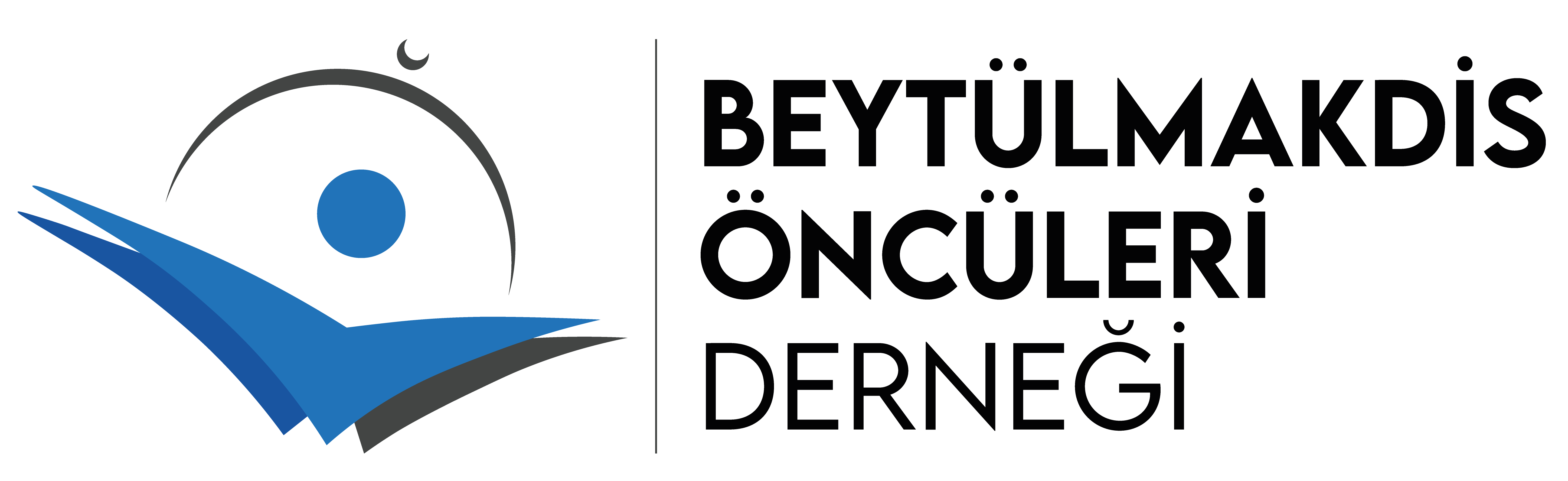 Renkli Yatay Logo