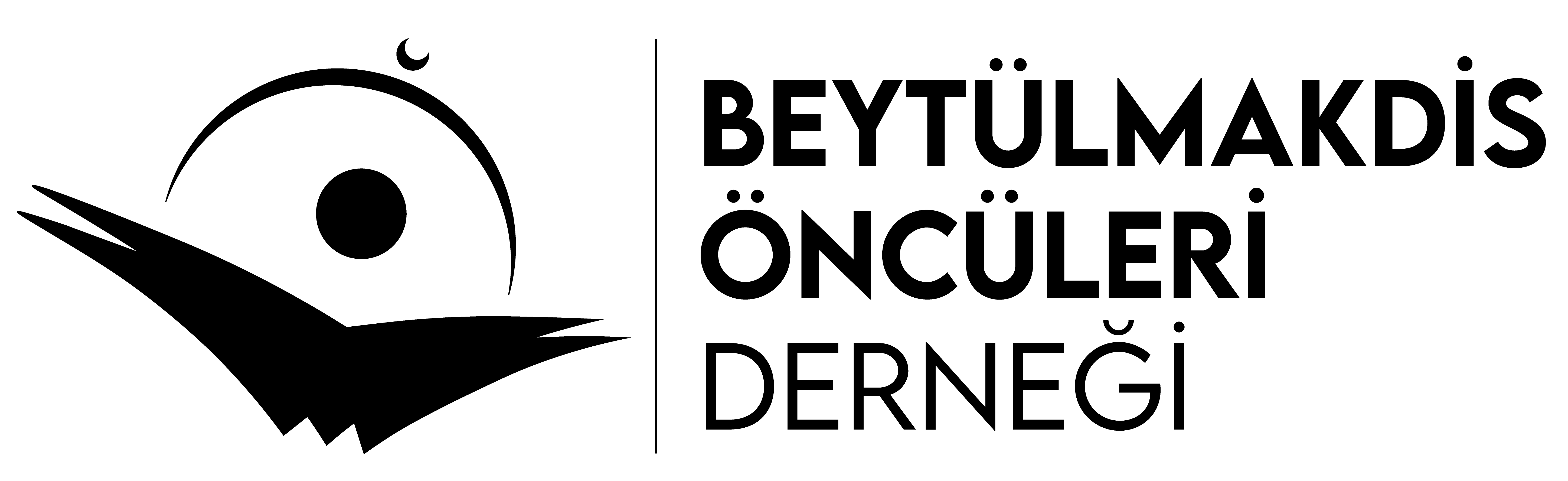 Siyah Yatay Logo